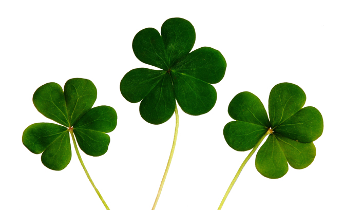 liens de haute qualite