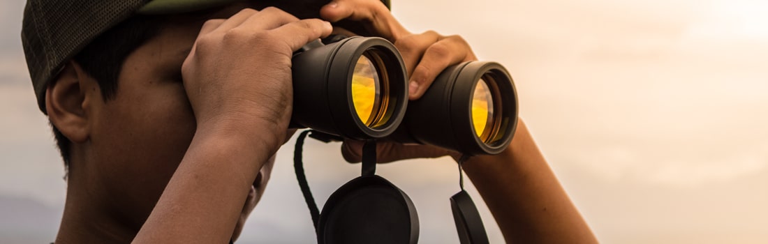 trouver des noms de domaine expires