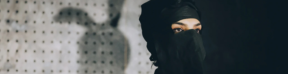 un-seo-sait-se-deguiser