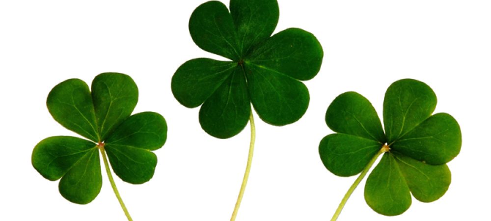 liens de haute qualite