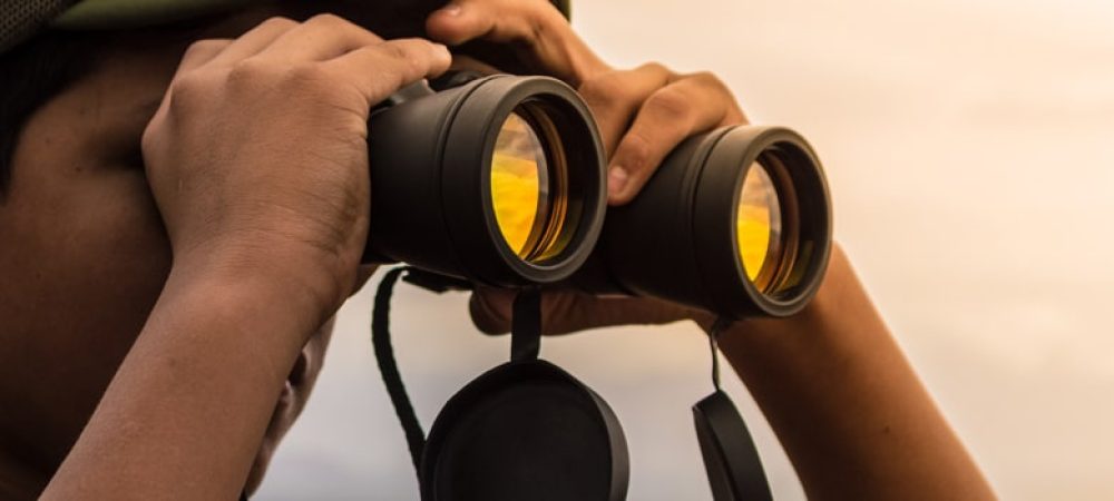 trouver des noms de domaine expires